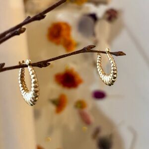 14KT Yellow Gold Shrimp Hoops  - Mint Condition